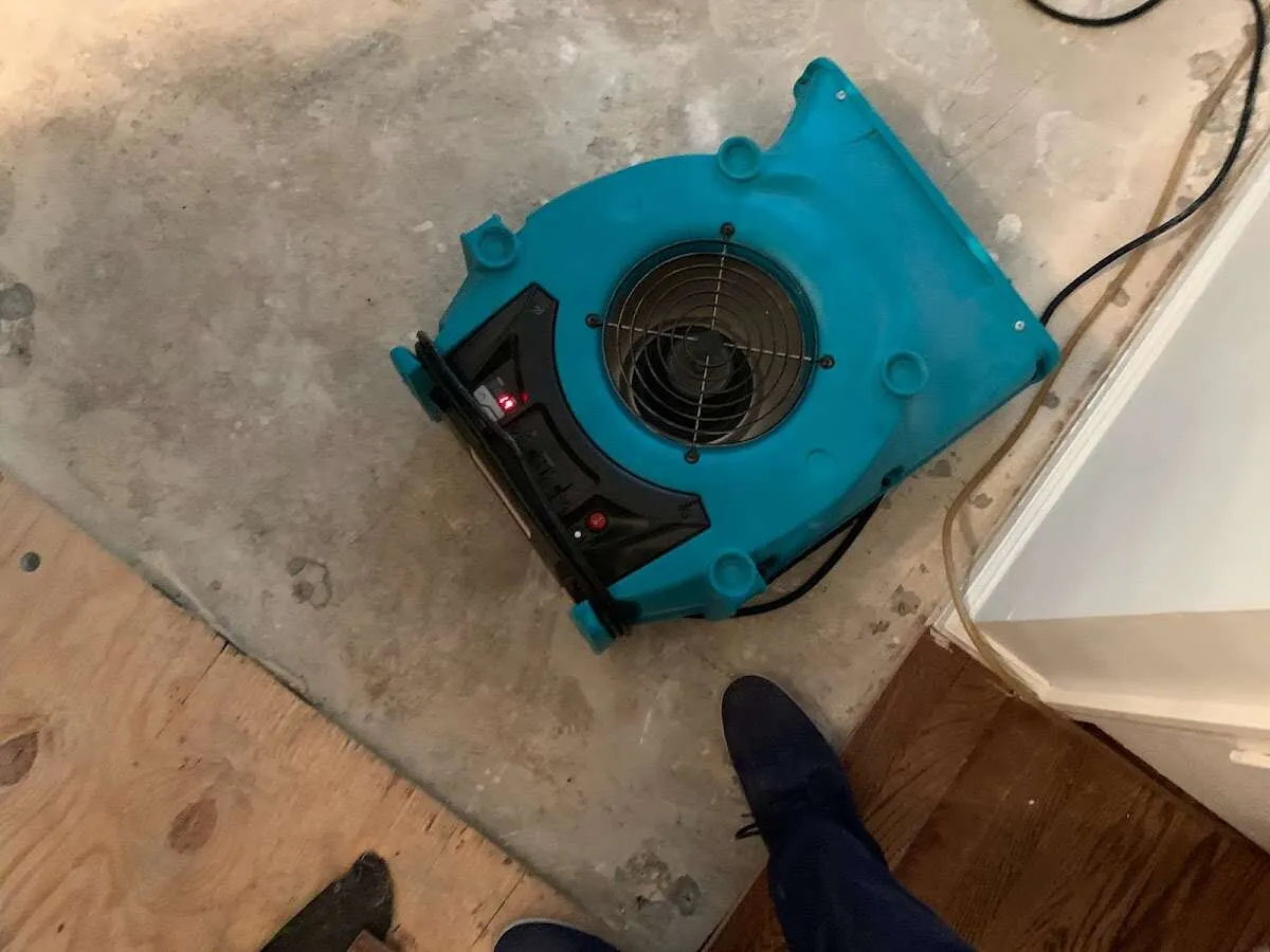 Air mover drying subfloor during Leak Detection & Repair in Lindenhurst